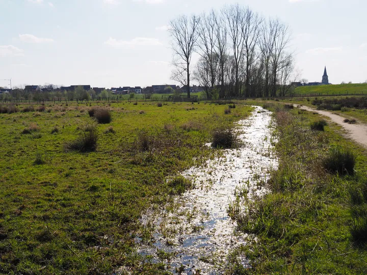 Kalkense Meersen (België)